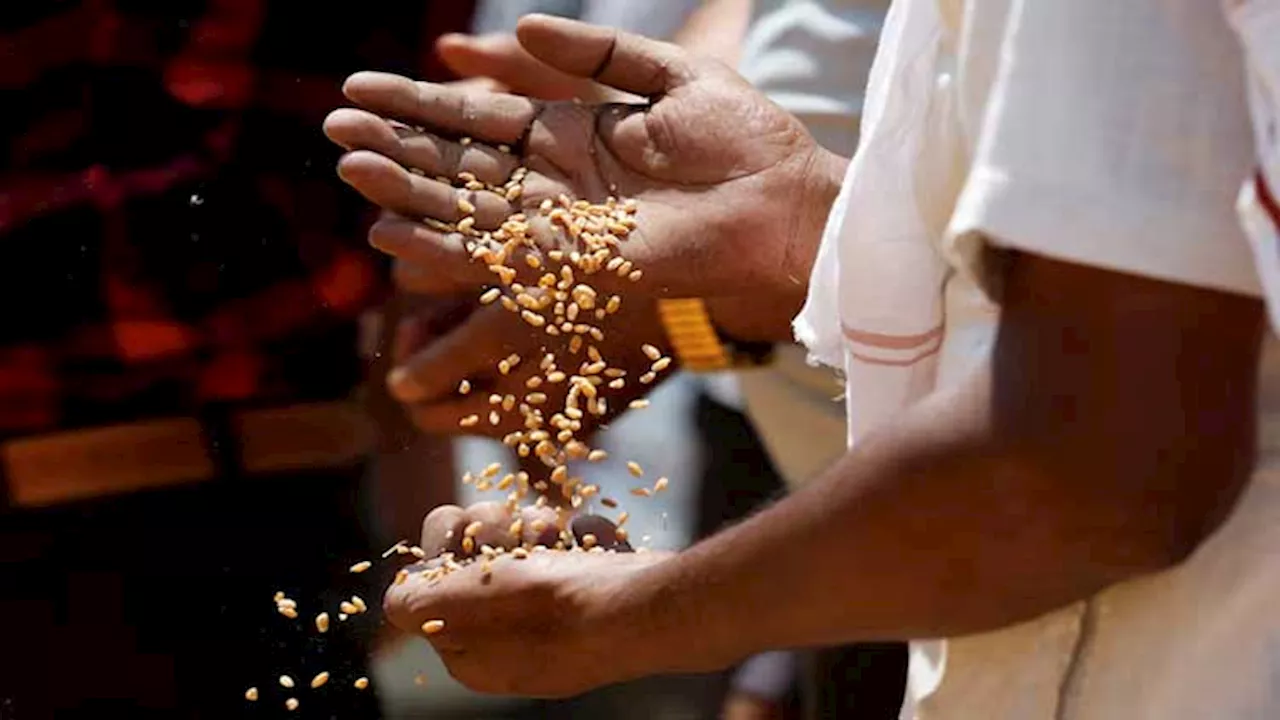 Indian flour mills urge govt to release wheat stocks as prices surge