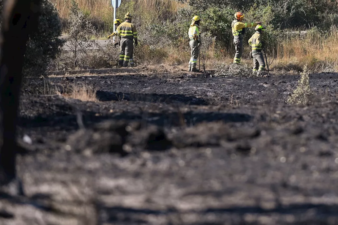 Detenido un peregrino por provocar un incendio que ha quemado 800 hectáreas en León