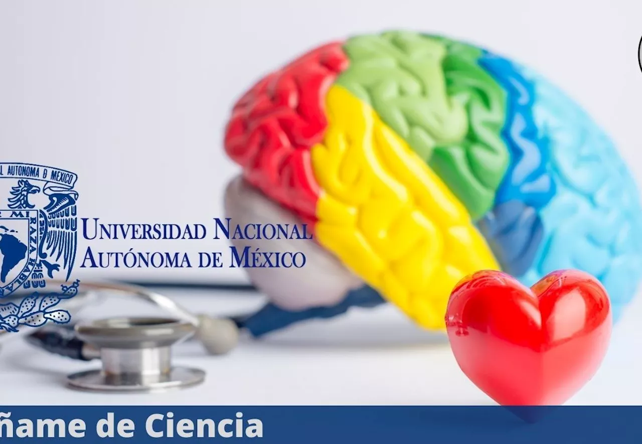 UNAM estrenó CURSO virtual sobre SALUD MENTAL, ¡100% GRATUITO!