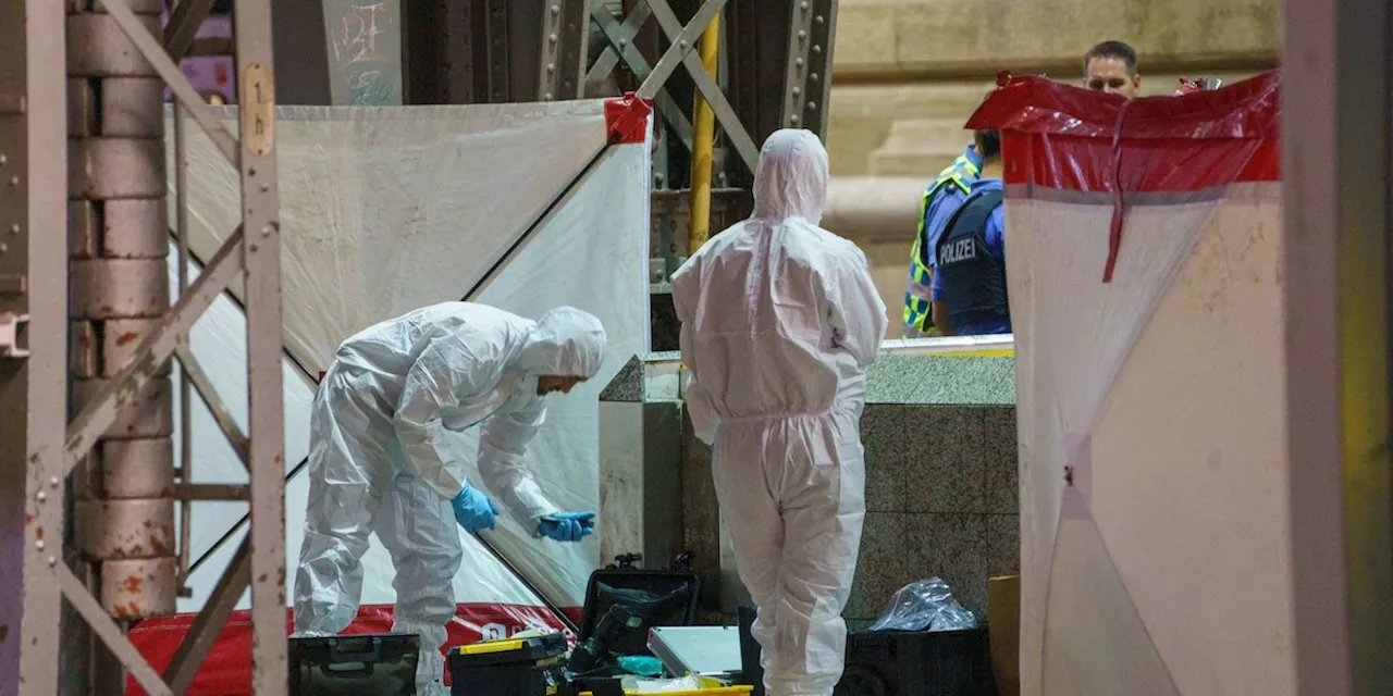 Mann im Frankfurter Hauptbahnhof erschossen - Zeuge schildert die Tat