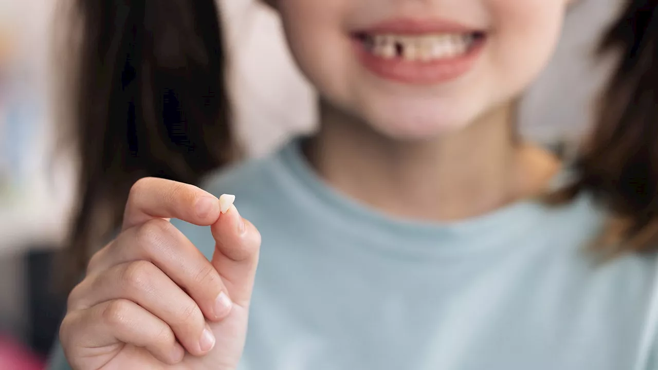 Here’s how much money the tooth fairy gives on average per tooth