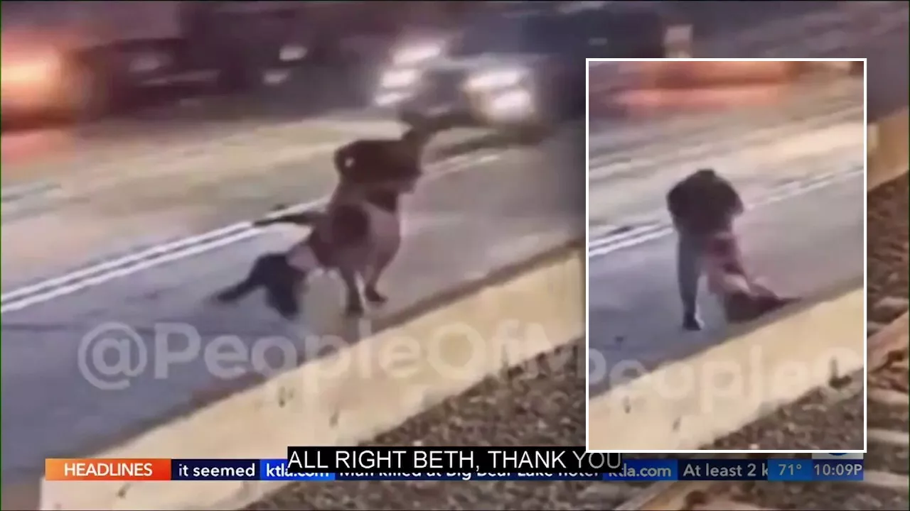 Chilling video captures woman dragged off train track, thrown into traffic on freeway in California