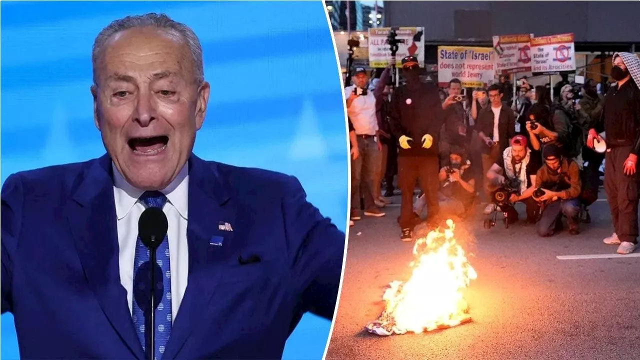 Schumer condemns antisemitism, blames Trump while anti-Israel agitators burn US flag outside DNC