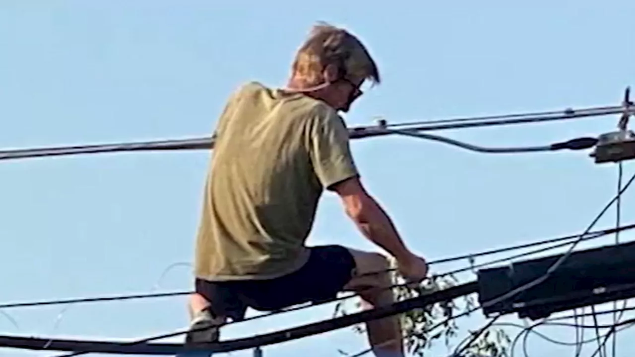 Texas police say thieves swiping copper off power lines 'right before your eyes:' 'They’ll go to any length'