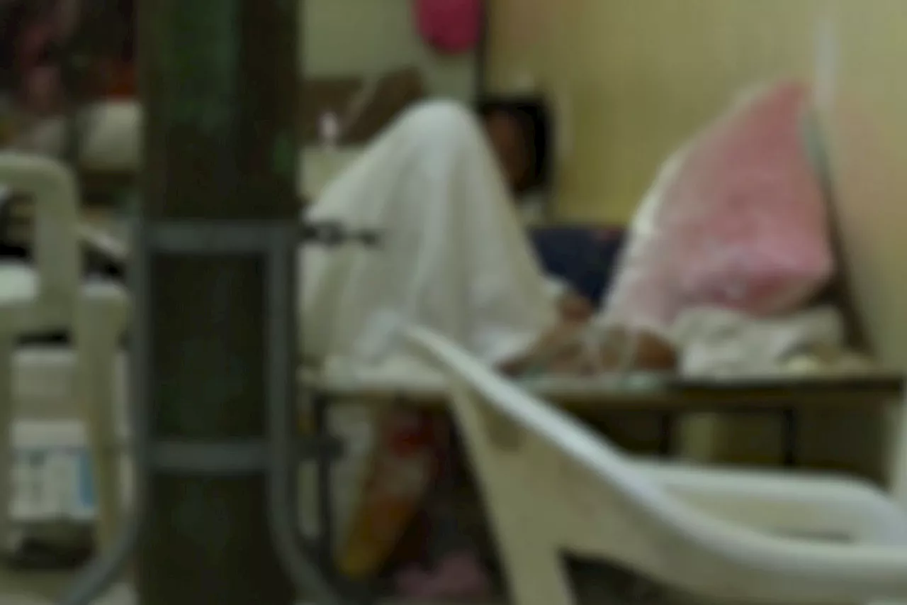 Nearly 400 dead due to dengue in 2024 —DOH data