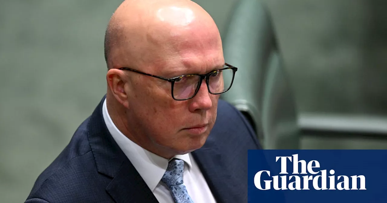 Peter Dutton’s comments on Palestinians fleeing Gaza ‘bad for cohesion and harmony’, envoy says