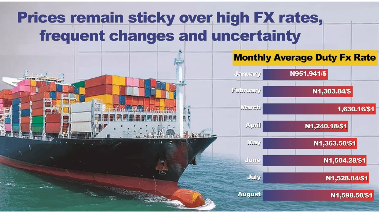 Customs’ spot rates adoption: Duty FX rates shift 100 times in 2024, spike prices of goods by 120%