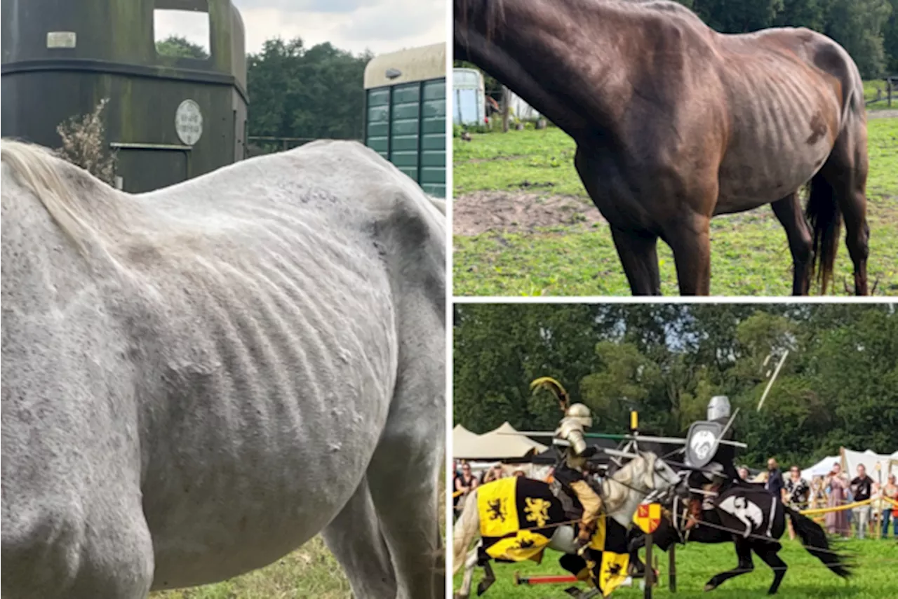 “Onder dat ridderkleed schuilt dierenleed”: vrouwen snappen niet dat ondanks gerechtelijk onderzoek paarden no