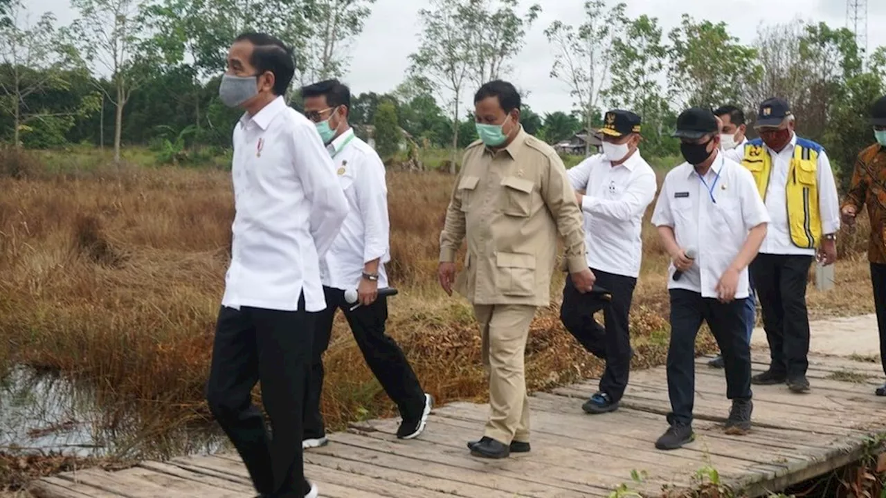 Seperempat Abad Jejak Pilu Cetak Sawah di Kalimantan Tengah