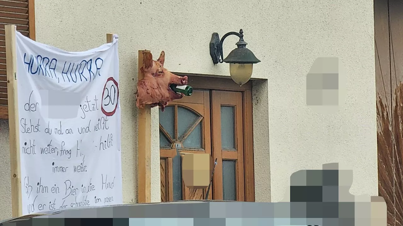 Schweinekopf zum Geburtstag – nun droht saftige Strafe