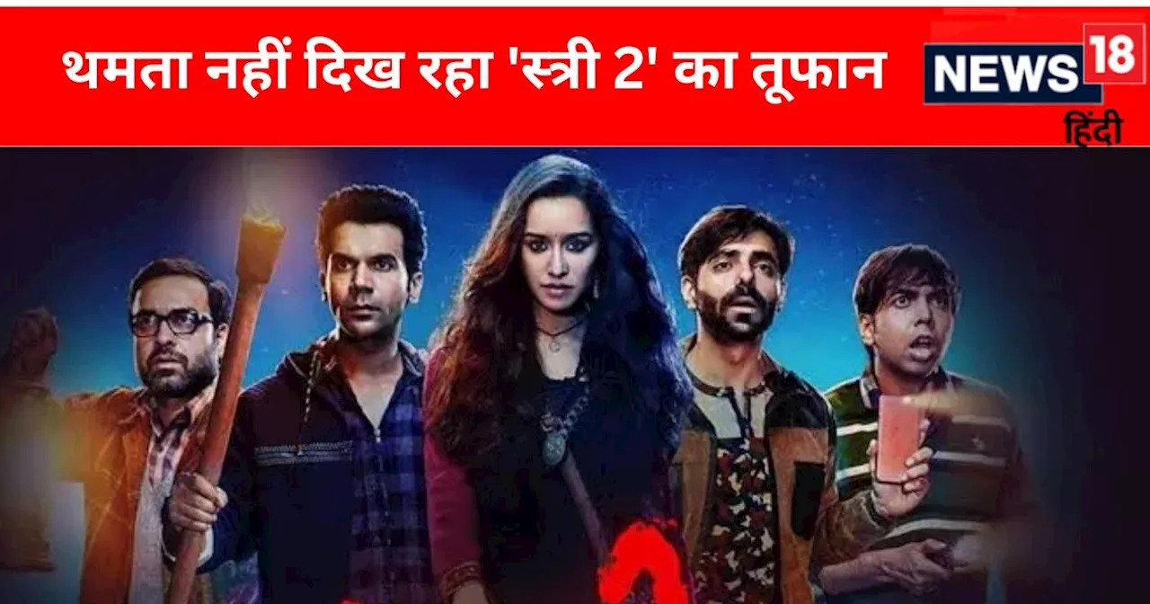 Stree 2 Box Office Collection Day 6: 50 करोड़ी 'स्त्री 2' 250 करोड़ पार, छठे दिन कितनी हुई कमाई?