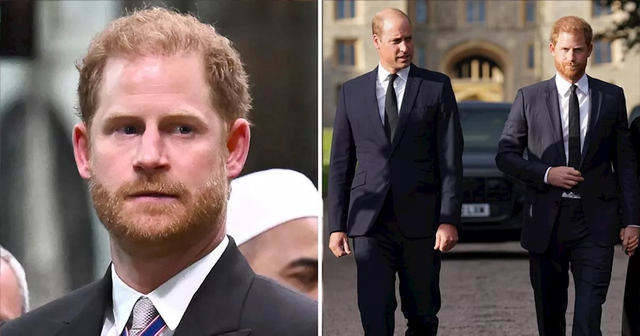 Harry 'heartbroken and horrified' in moment William finally takes his side