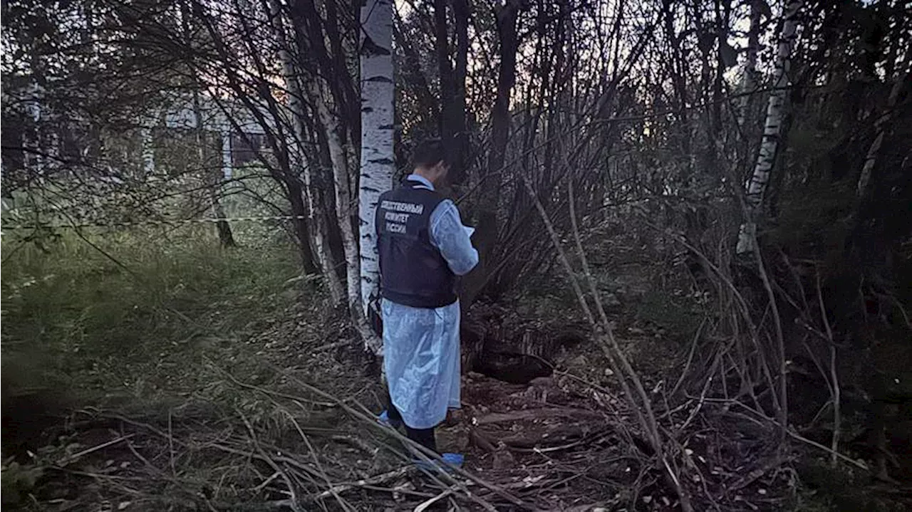 В Ярославской области в распределительном колодце обнаружили тело ребенка