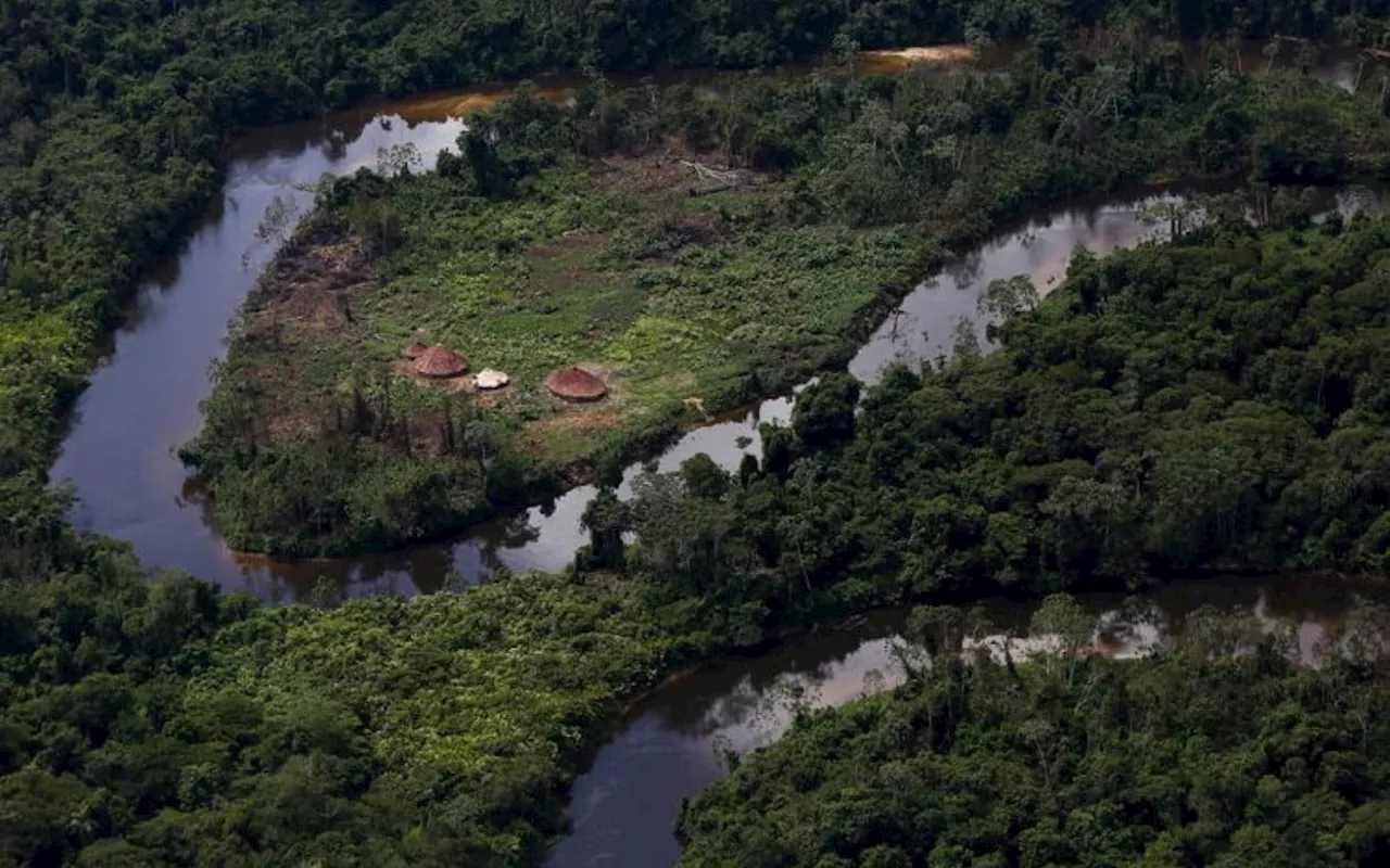 Brasil já perdeu 33% das áreas naturais de seu território