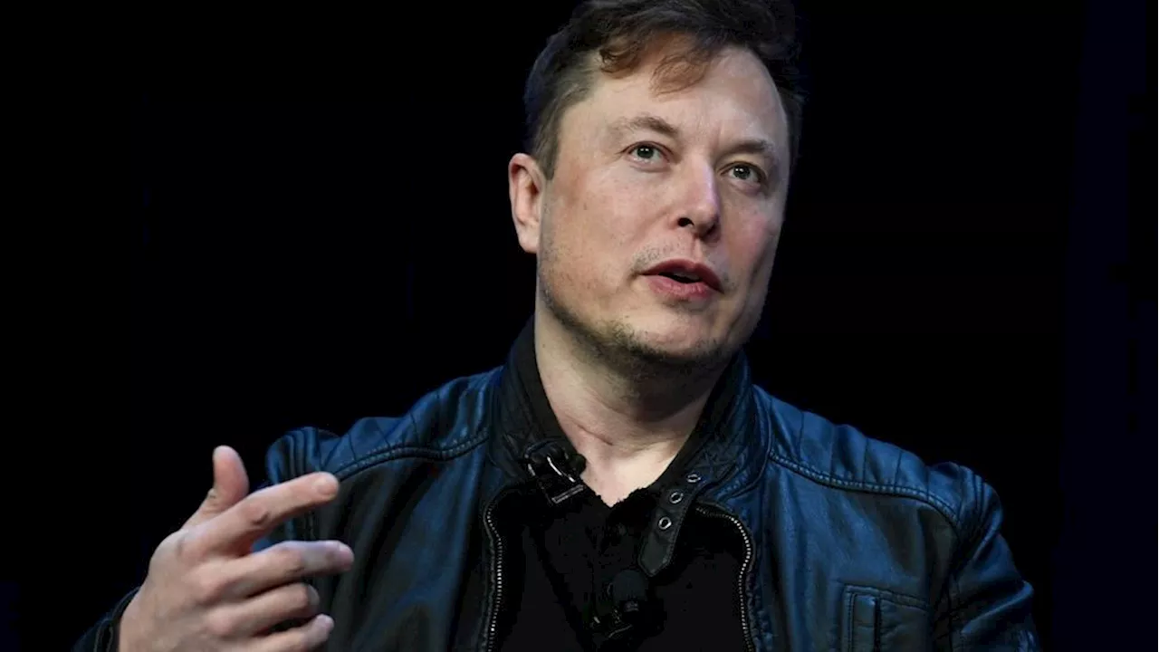 Free speech groups blast EU official who sent Elon Musk disinformation warning: 'Alarming'