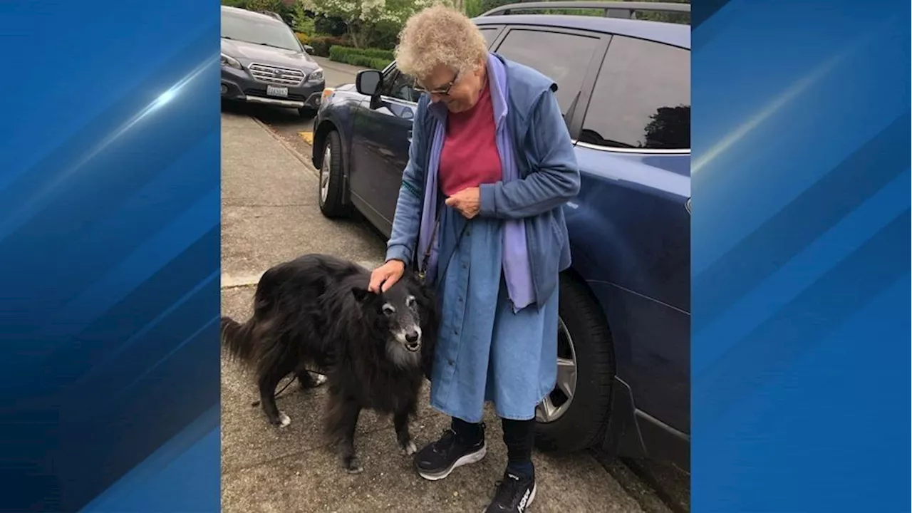 Police to provide update after beloved 80-year-old dog walker killed in Seattle carjacking