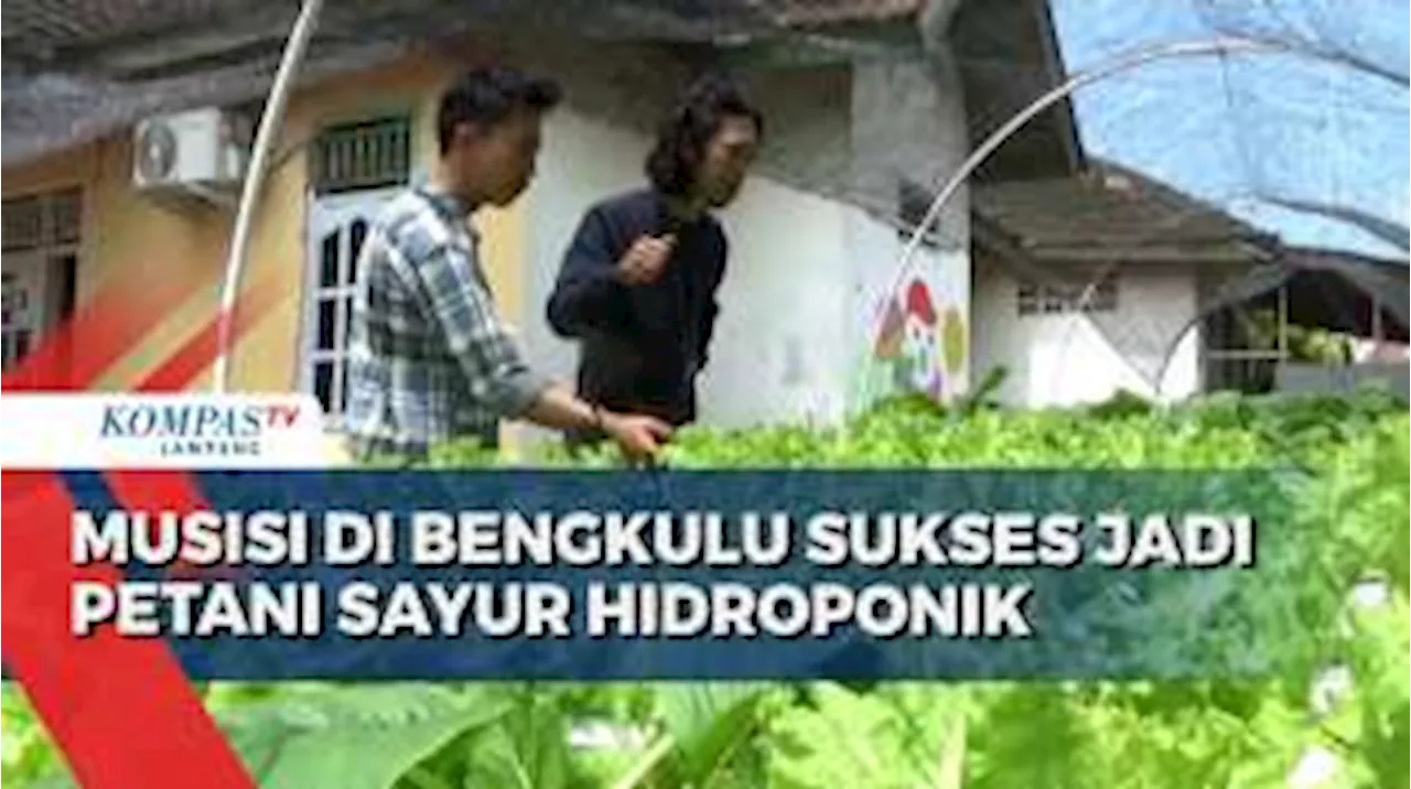 Musisi di Bengkulu Sukses Jadi Petani Sayur Hidroponik