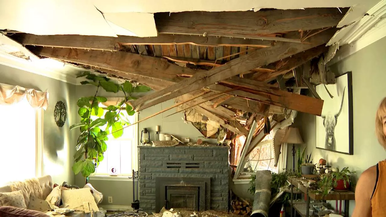 Storm pushes towering tree into Layton home