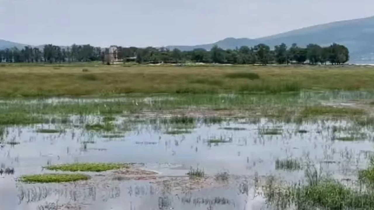 Clima en Guanajuato: Chubascos este 21 de agosto; se acercan lluvias fuertes