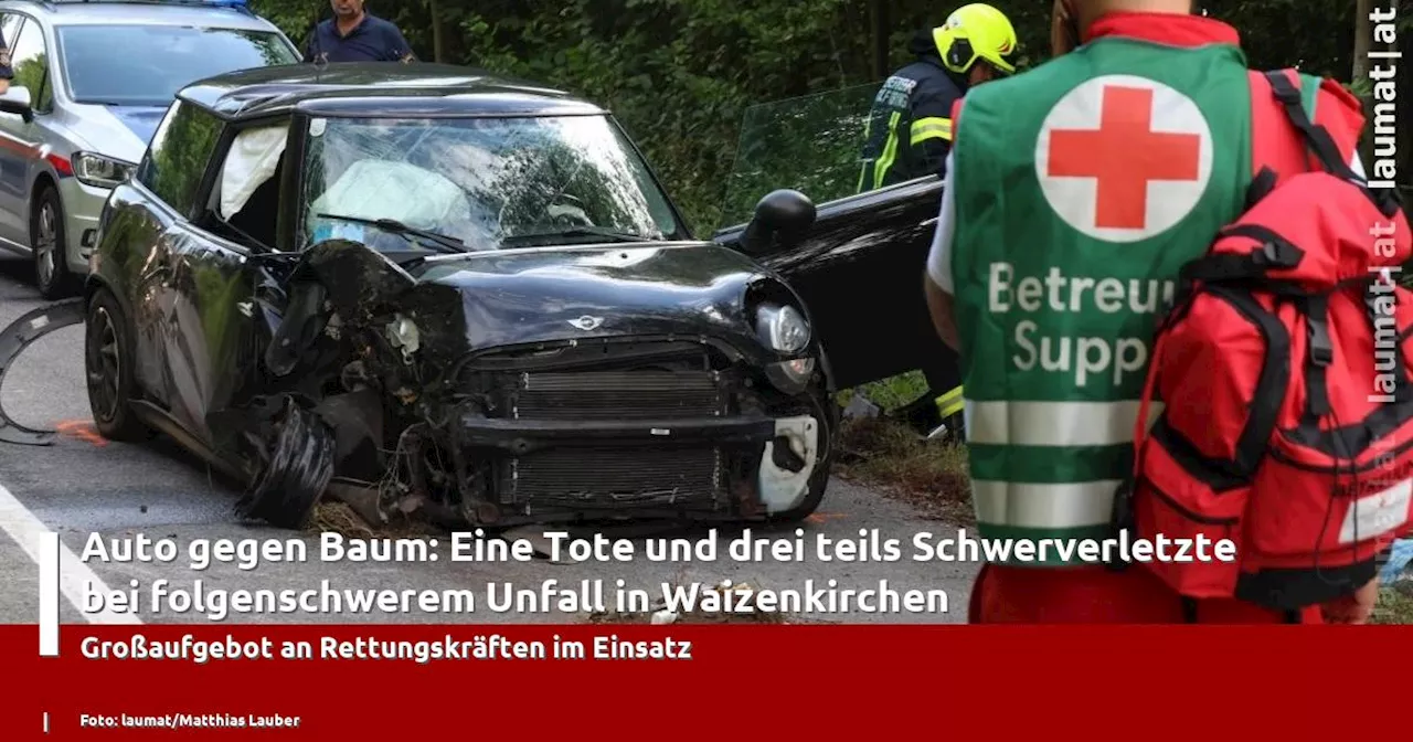 Auto gegen Baum: Eine Tote und drei teils Schwerverletzte bei folgenschwerem Unfall in Waizenkirchen