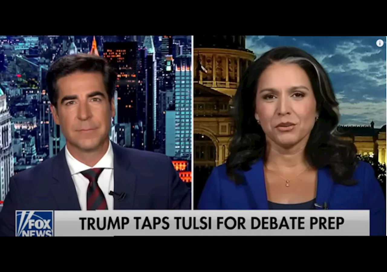 Tulsi Gabbard on Trump Debates: He ‘Knows What He Stands For and has a Record of Success’