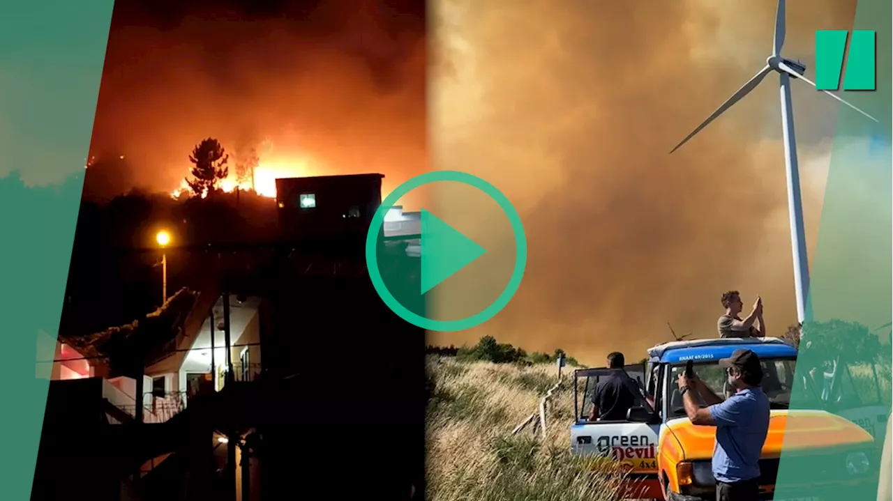 Incendie à Madère : l’île en proie à un feu impressionnant qui a ravagé 5 % de sa superficie