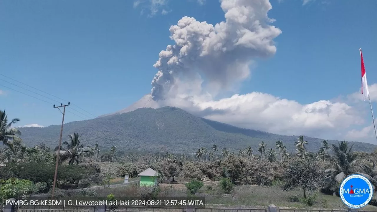 Gunung Lewotobi Laki-Laki Erupsi Lagi, Tinggi Abu Vulkanik Capai 800 Meter ke Arah Barat Daya