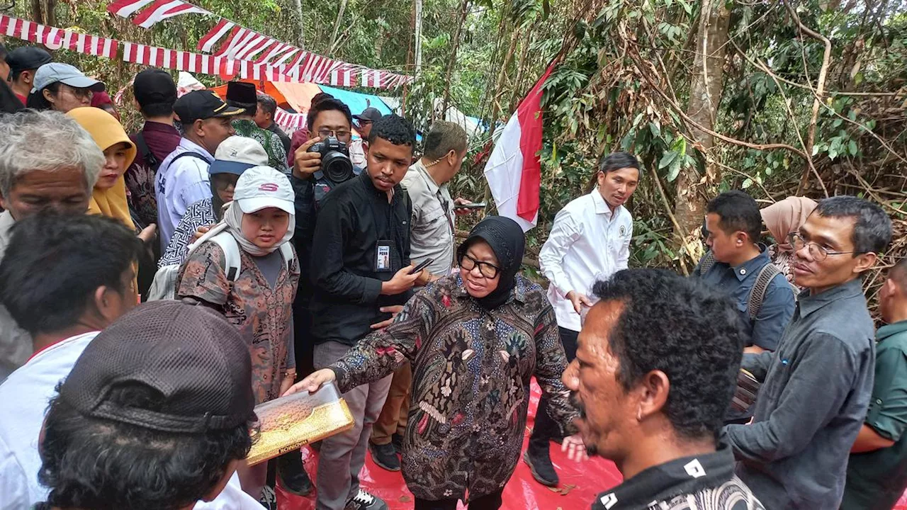 Kehadiran Mensos Risma Jadi Pengobat Hati Orang Rimba di Jambi