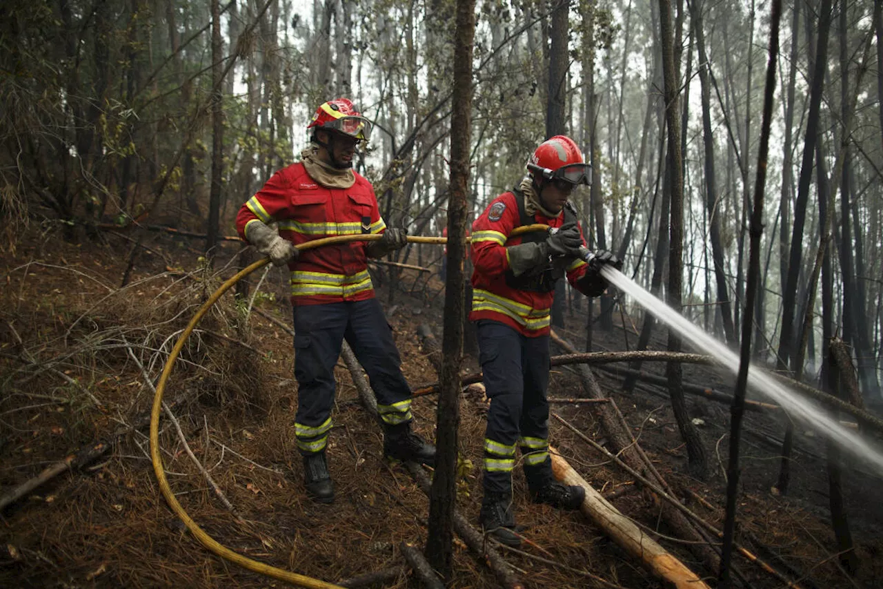 Incendie à Madère, au Portugal : 4 400 hectares ont brûlé, 200 personnes évacuées