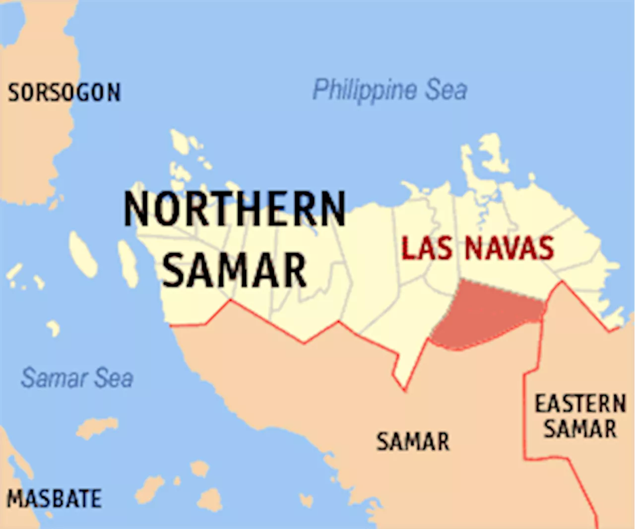 2 NPA leaders in Eastern Visayas surrender