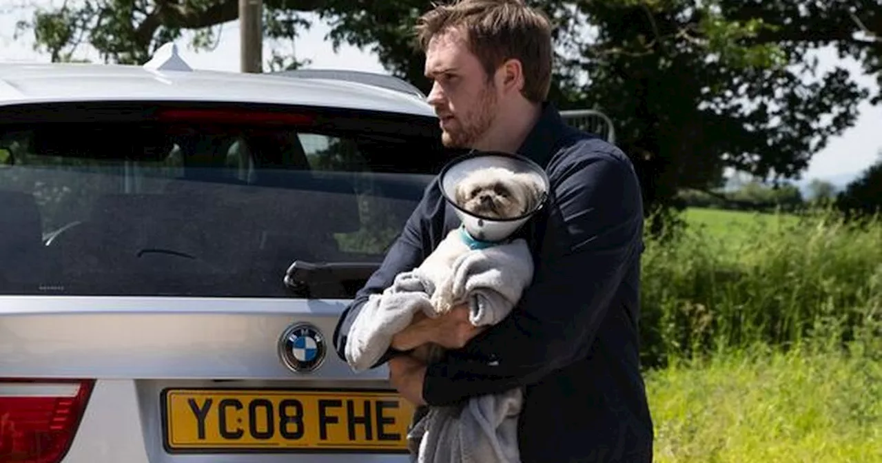 Emmerdale twist as Belle Dingle's dog Piper is alive after another Tom betrayal