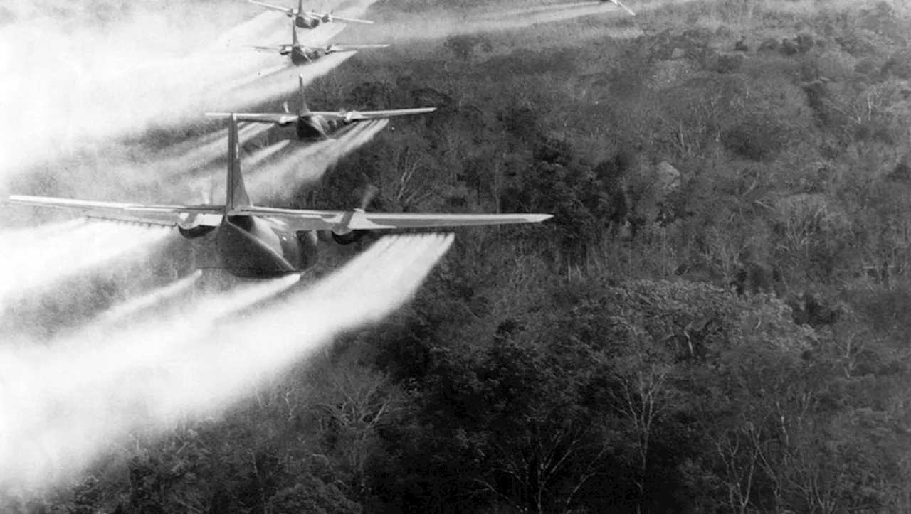 'Agent orange' : une femme contaminée il y a 58 ans pendant la guerre du Vietnam et 14 groupes agrochimiques d