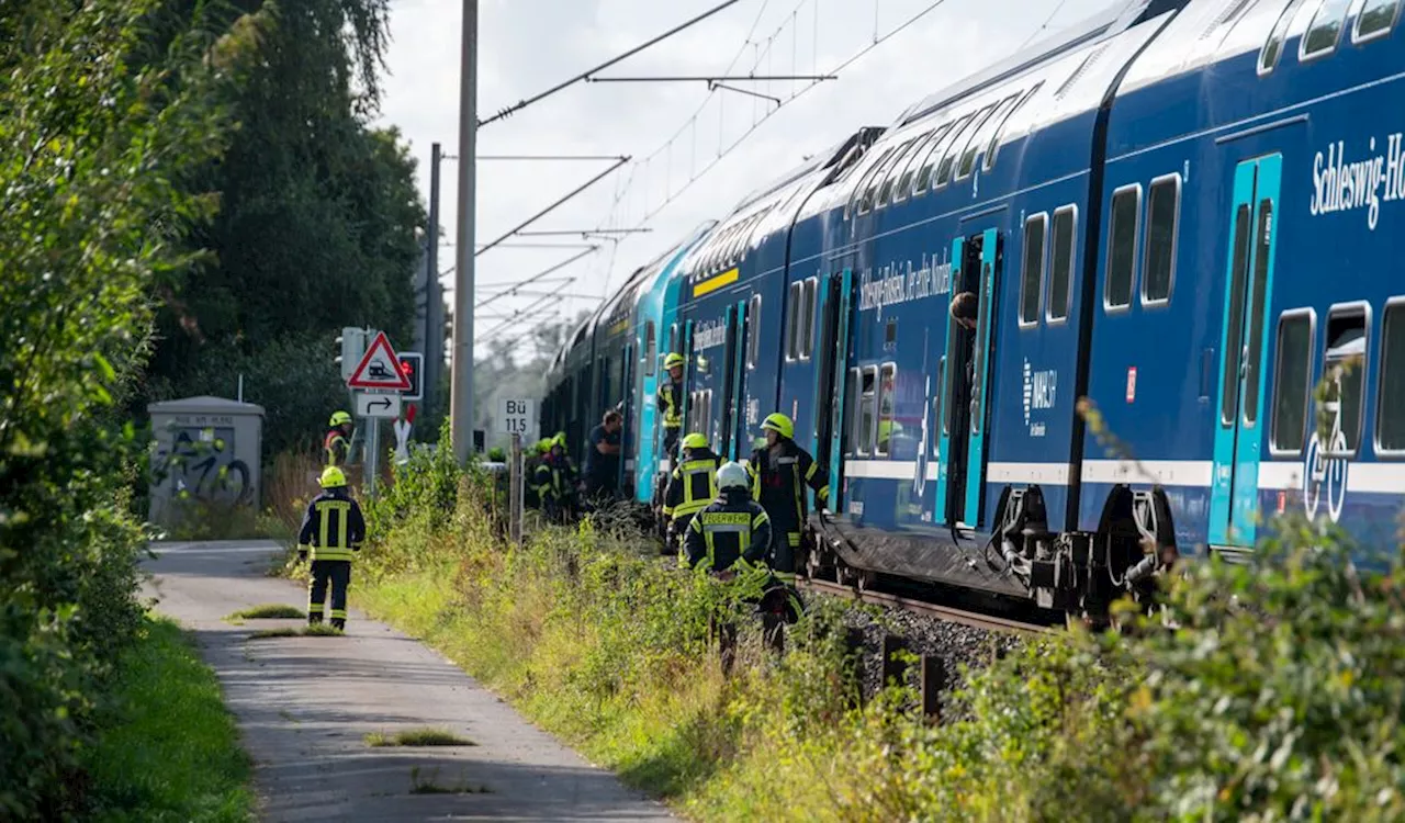 Baum stürzt auf Gleise: Hunderte Passagiere im Norden gestrandet