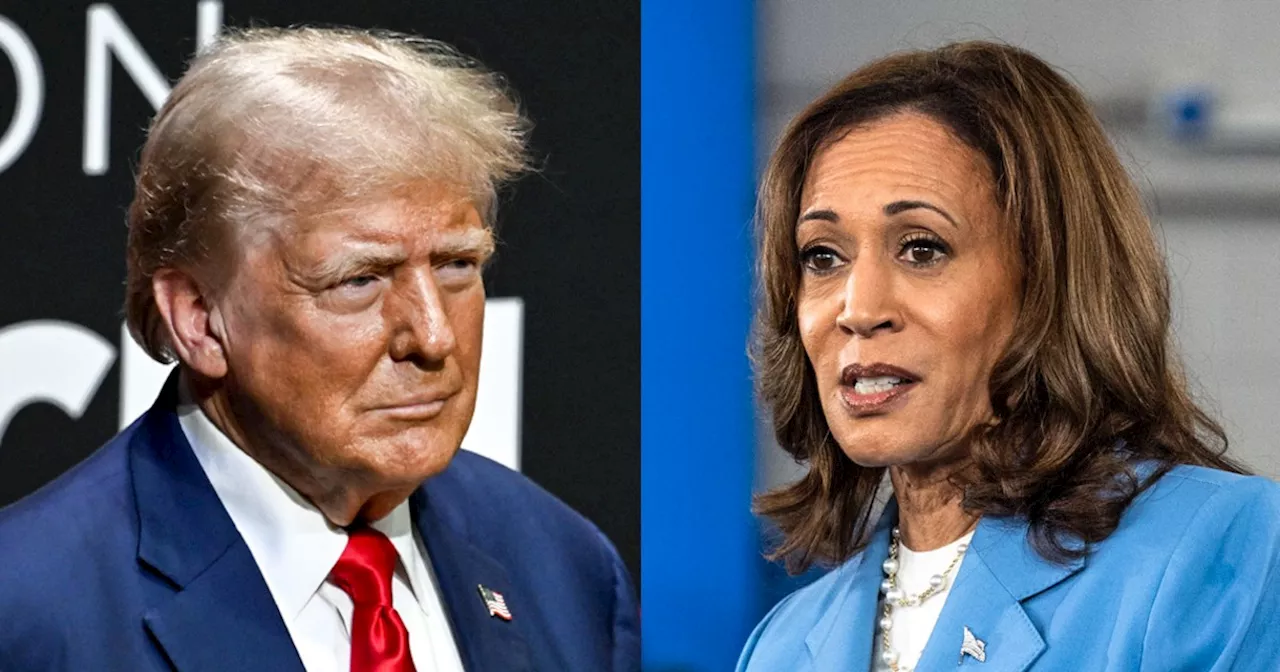 With Harris on the march, Trump aims to shore up North Carolina