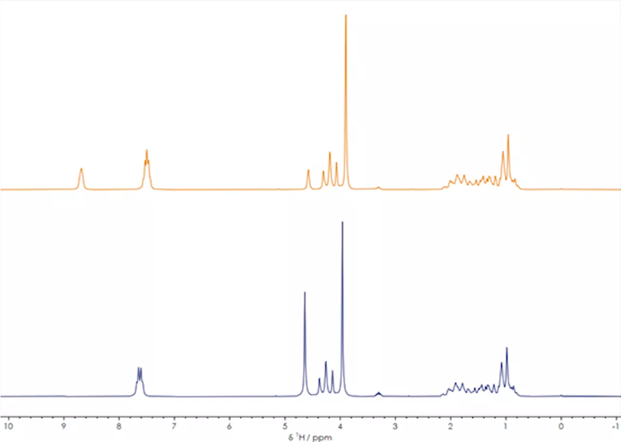 Enhancing drug development with NMR: Optimizing synthesis processes and real-time reaction monitoring