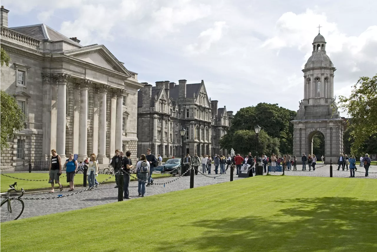 Cost of going to college will surge €536 this year