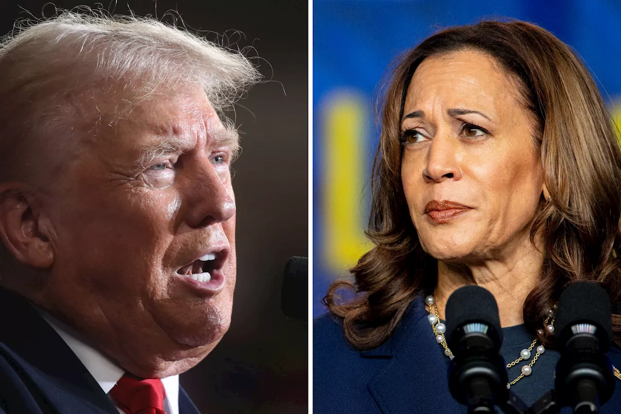 Trump Shares AI Photo of Kamala Harris—What It Means for the US Election