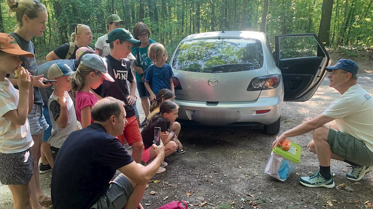 Kinder löcherten Obmann der Waldfreunde mit ihren Fragen