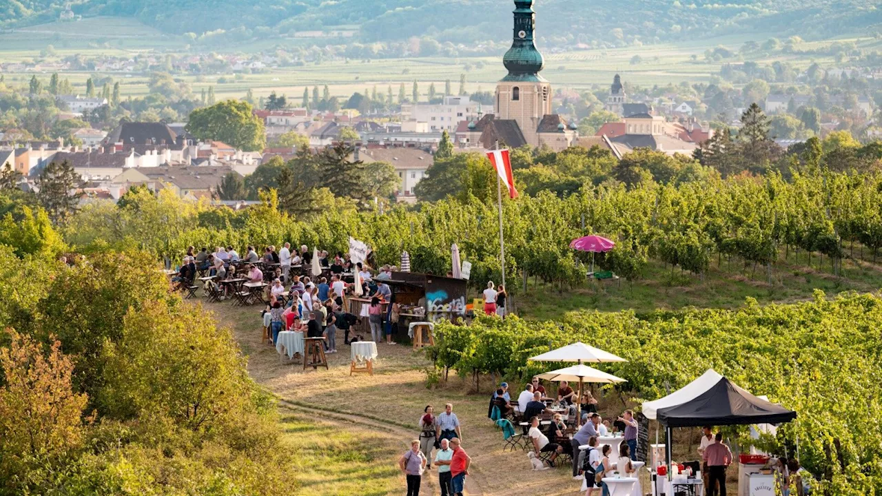 Zum 12. Mal voller Genuss in September starten