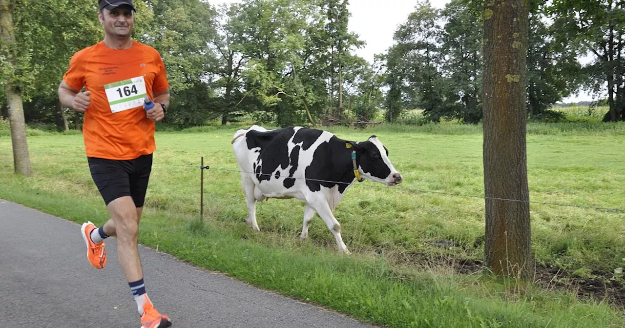 Klosterlauf 2024 im Kreis Gütersloh: Die schönsten Fotos im Rückblick