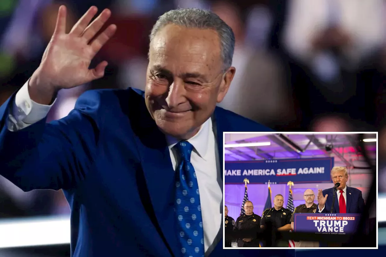 Chuck Schumer calls election a choice between 'dark night' and 'brighter' future