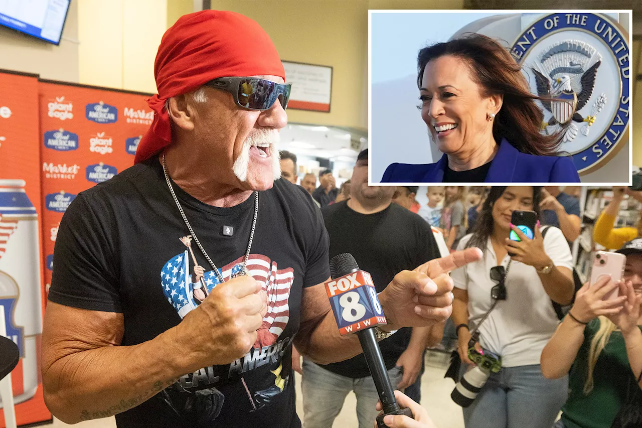 Hulk Hogan asks bar crowd if he should 'body slam' Kamala Harris, questions her racial identity