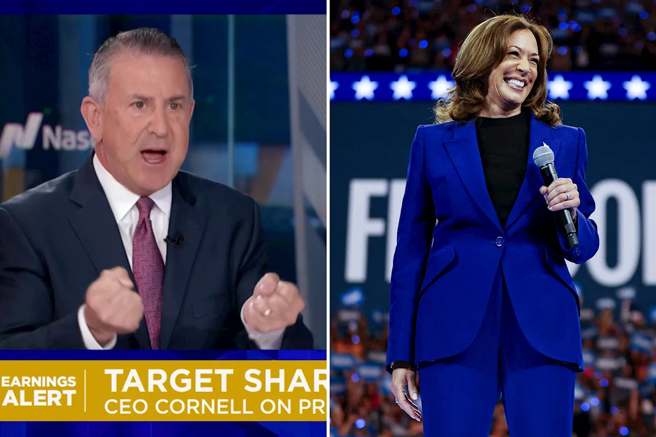 Target CEO Brian Cornell hits back on Kamala Harris' 'price-gouging' claims'