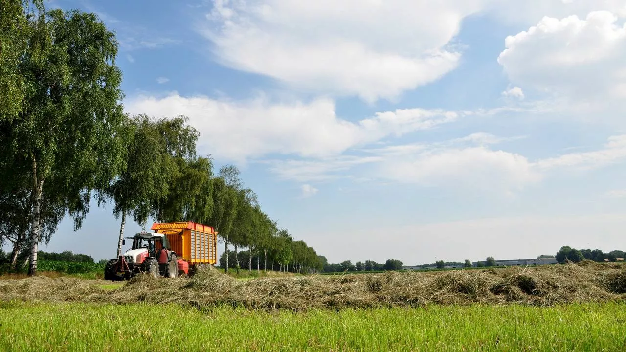 100 miljoen Europese landbouwsubsidie is er naar Brabantse boeren gegaan