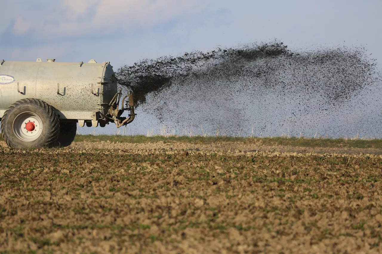 Human manure or 'nightsoil' makes great crop fertilizer—but attitudes to poo-grown produce differ drastically