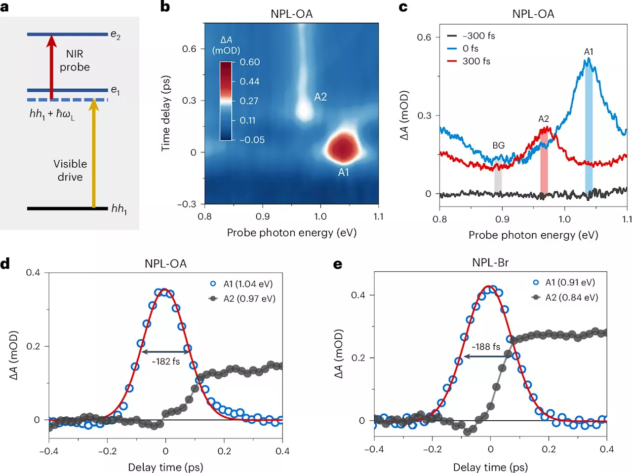 Researchers observe Floquet states in colloidal nanoplatelets driven by visible pulses