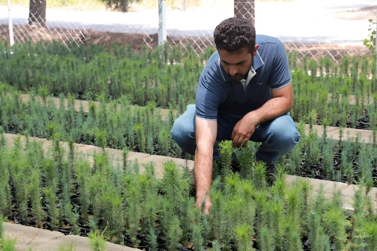 Saving the vanishing forests of Iraq's Kurdistan