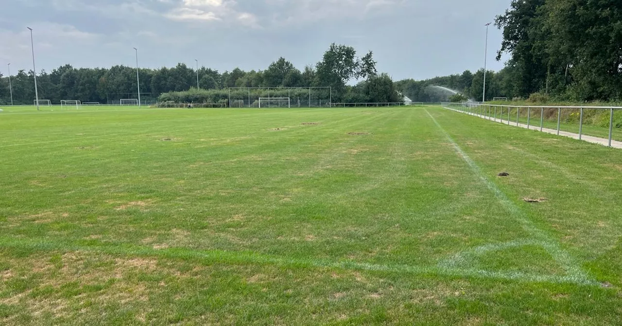 Onaangename verrassing in Beilen: engerlingen tasten voetbalvelden aan