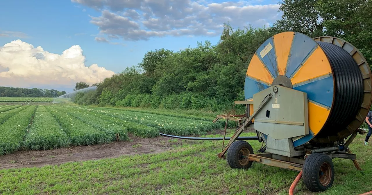 Rechter geeft Drenthe huiswerk mee over waterput lelieteler bij natuurgebied