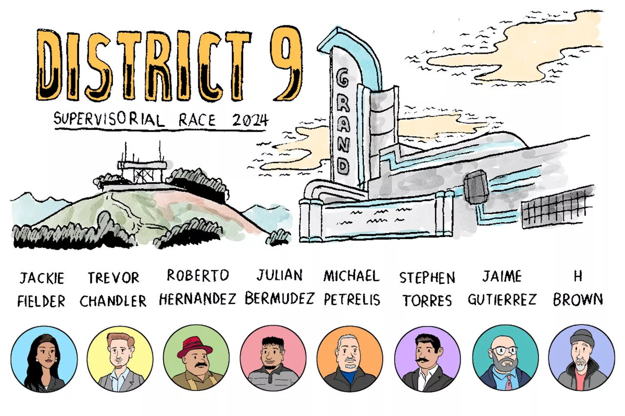 Meet the District 9 candidates: What would you do about road infrastructure?